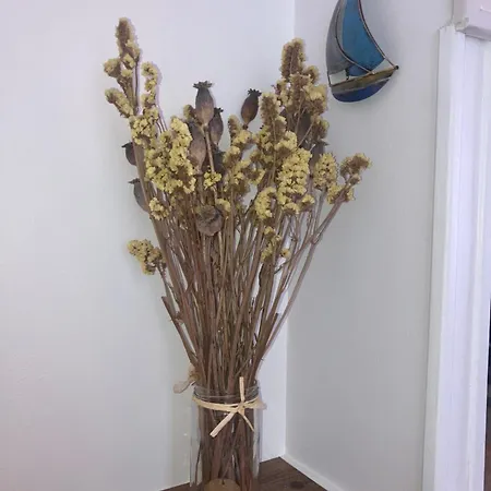 Location La Rochelle * Saint-Xandre